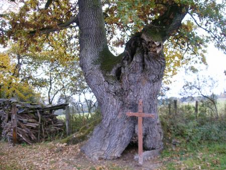 Retour aux sources ce 27.10.2007